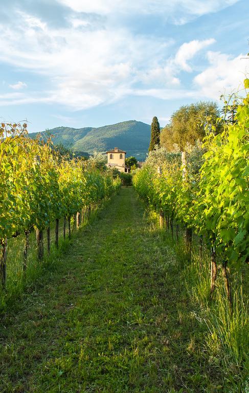 Villa Il Paradisino Sesto Fiorentino Exterior photo